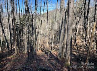 12 Rules Run Rd #12C, Waynesville, NC 28786