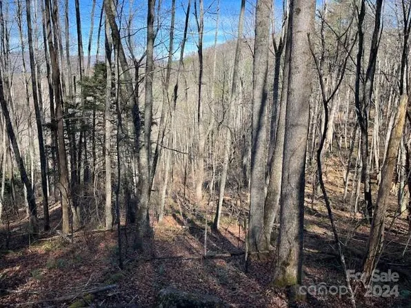 12 Rules Run Rd #12C, Waynesville, NC 28786