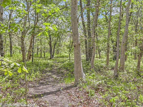 25 Plum Bush Point Rd, West Tisbury, MA 02575