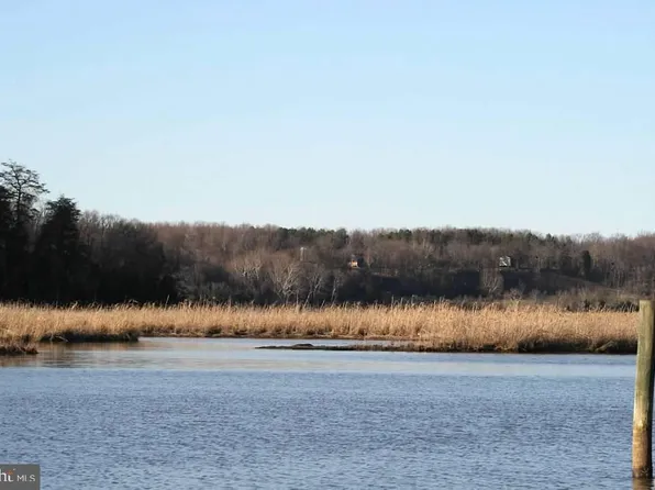 Tayloes Neck Rd, Nanjemoy, MD 20662
