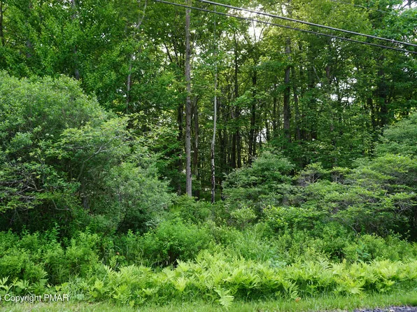 Wagner Way, Pocono Lake, PA 18347