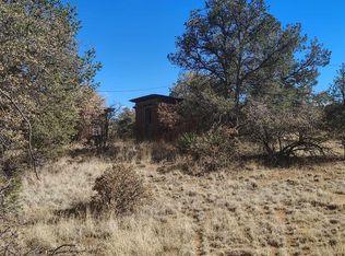 98 Turkey Track Dr, Silver City, NM 88061