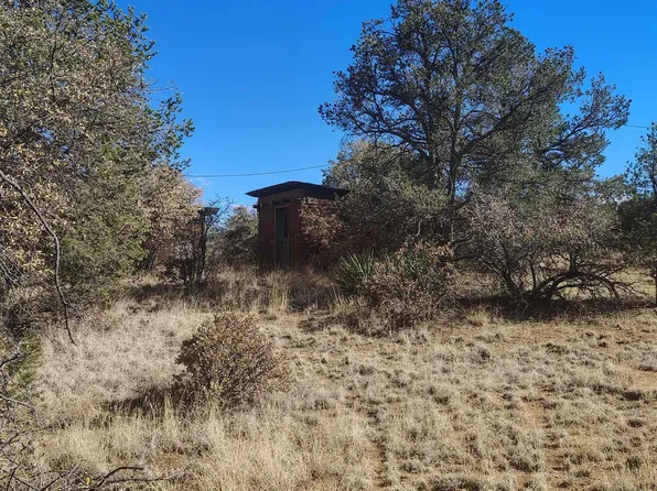 98 Turkey Track Dr, Silver City, NM 88061