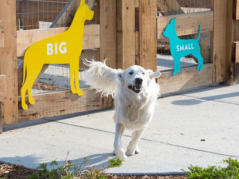 2.5-acre Crossings Bark Dog Park