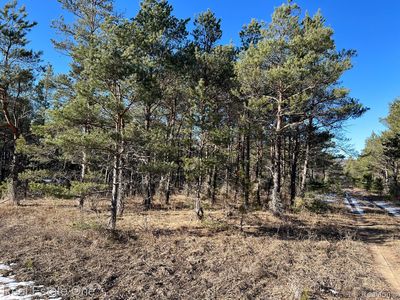 0 Wetzel Lake Rd, Mancelona, MI, 49659