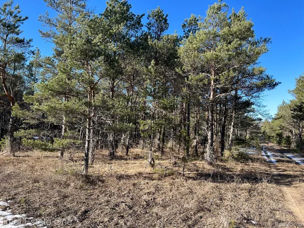 0 Wetzel Lake Rd, Mancelona, MI 49659