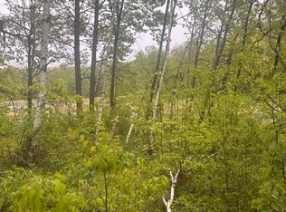 Cardinal Trl, Randall, MN 56475