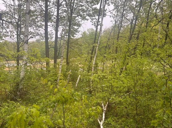 Cardinal Trl, Randall, MN 56475