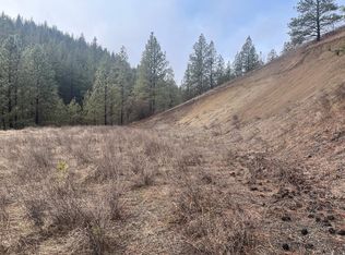 1 Aspen S P Blue Grouse Dr, Davenport, WA 99122