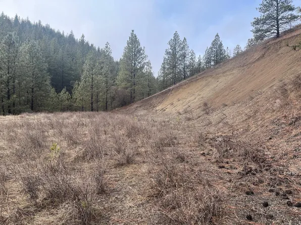 1 Aspen S P Blue Grouse Dr, Davenport, WA 99122