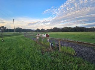 9233 SE 12th Dr, Webster, FL 33597