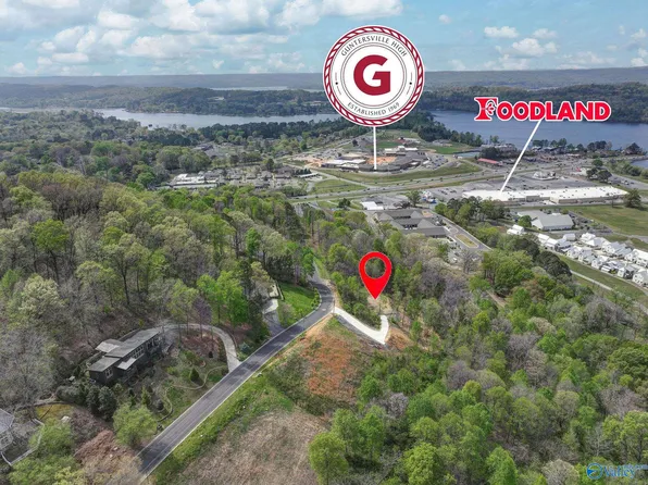 3015 Woodvue Rd N, Guntersville, AL 35976