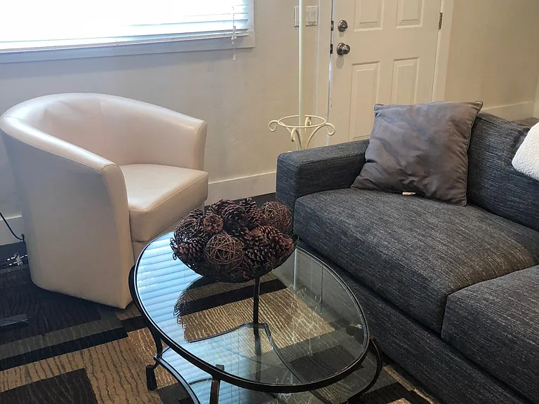 Living room with swivel chair, coat rack and new area rug