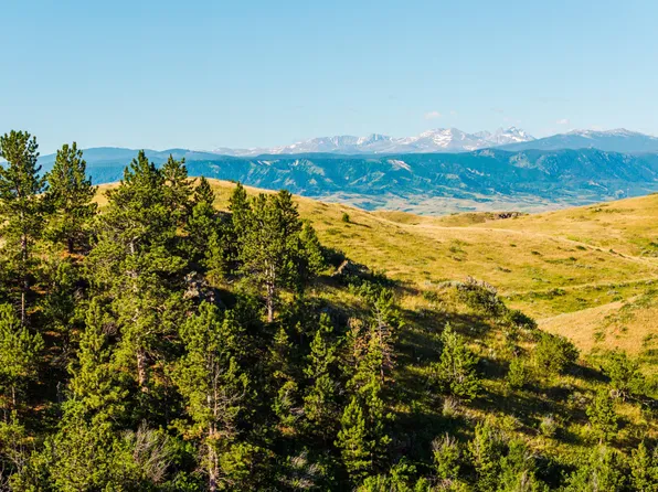 203 Upper Cat Rd, Sheridan, WY 82801