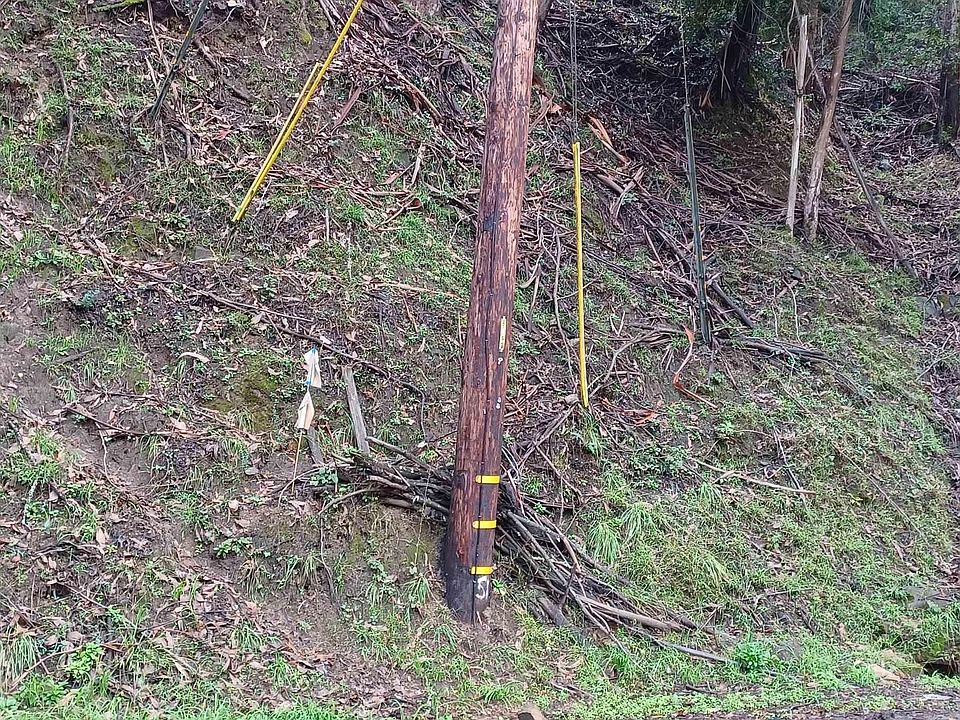 1st image of 6210 Westover Dr