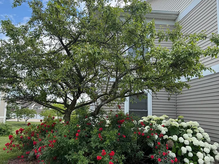 1553 Long Meadow Trl — Photo 12