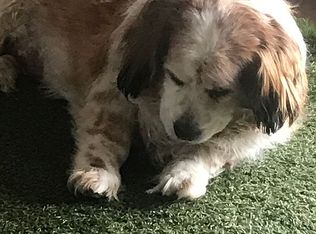 44800 Chapman Rd, Anza, CA 92539