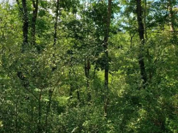 271 Dollar Ln, Bunker Hill, WV 25413