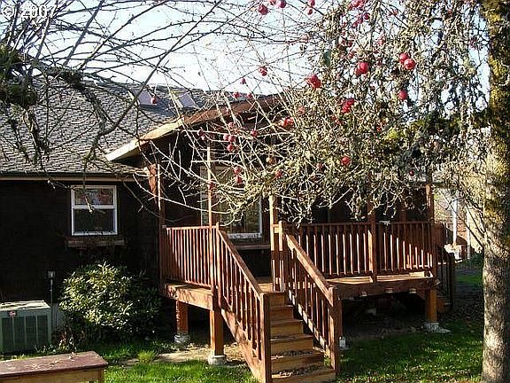 Back of House - Deck with skylights