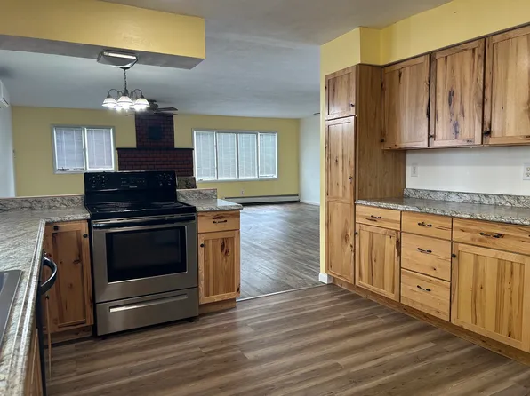 313 E Washington St, Berrien Springs, MI 49103