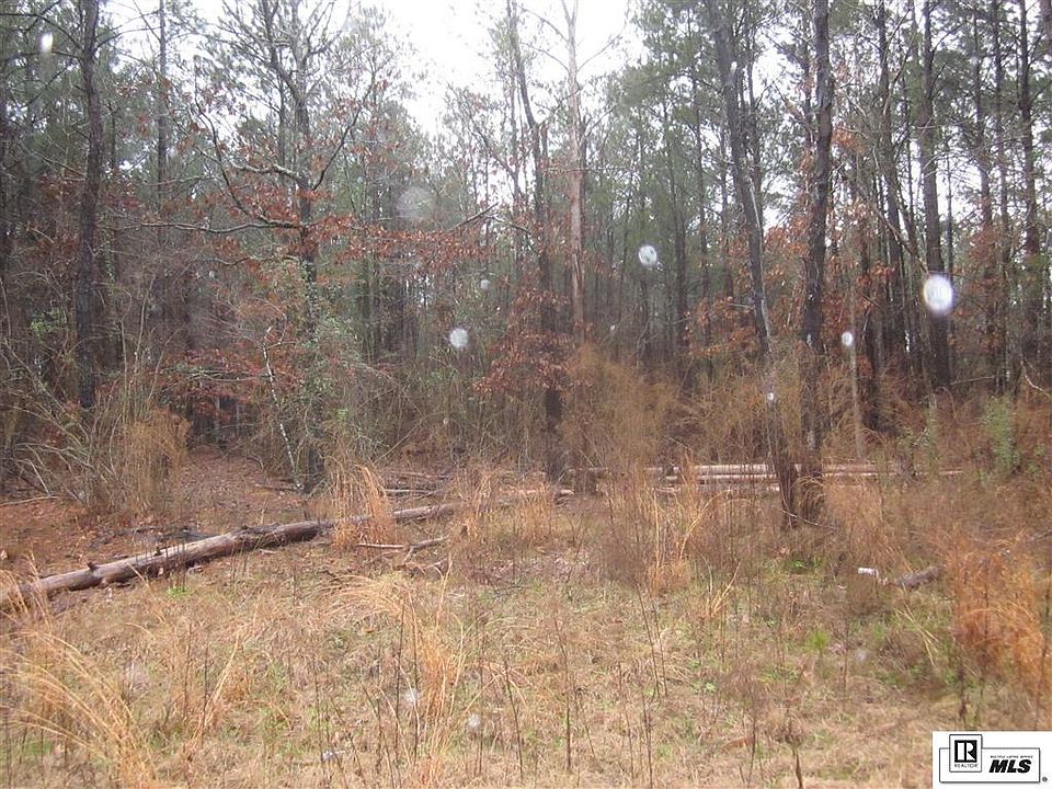 2nd image of 507 Darbonne Dr