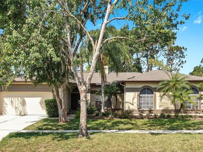 9535 Norchester Cir, Tampa, FL, 33647