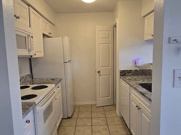 1000 W Horatio St #220 — Photo 4