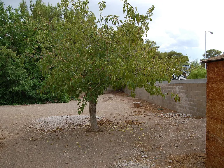 7185 Acorn Ct — Photo 18