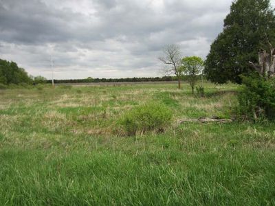 0 Woods Rd, Gladwin, MI, 48624