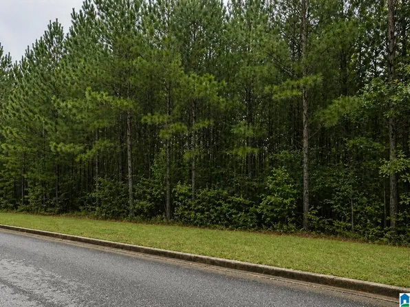 1000 Long Branch Pkwy Lot 141, Calera, AL 35040