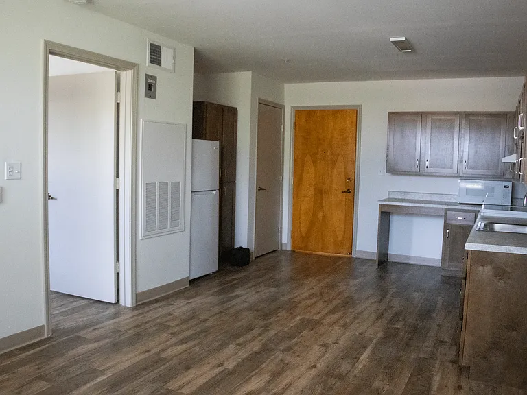 Newly Renovated Living Dining and Kitchen