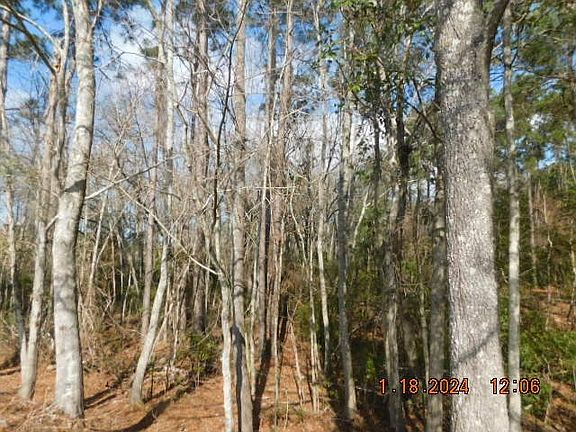 5th image of 19 Country Lake Dr