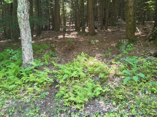 L3.004 Parker Rd., Hadley, NY 12835