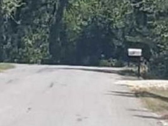 Exterior Neighborhood (street photo)