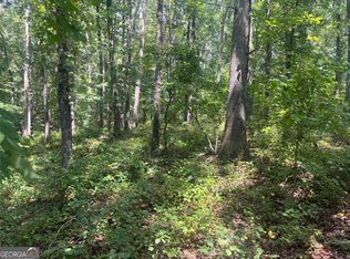 Henry Scott Rd, Ball Ground, GA 30107