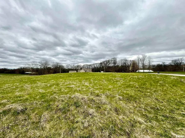 LOT 13 58th St, New Boston, IL 61272