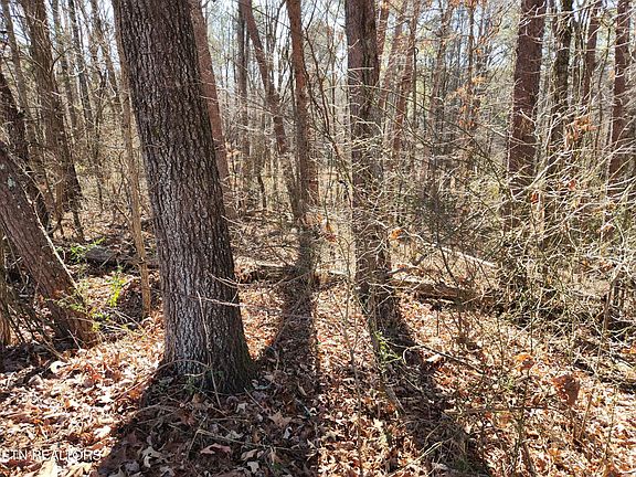 3rd image of 0 Creek Rd