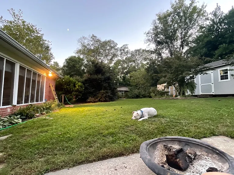 440 Bonnie Dr — Photo 11
