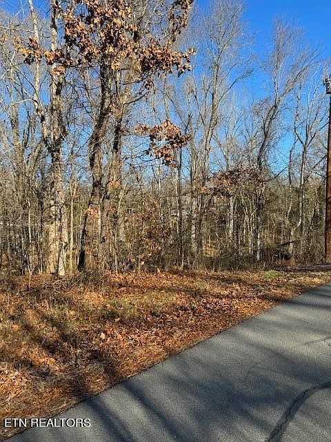 2nd image of 1015 Mountain View Ln Lot 1015