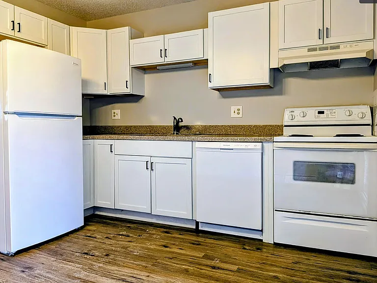 303 W Elizabeth St #1 — Photo 7