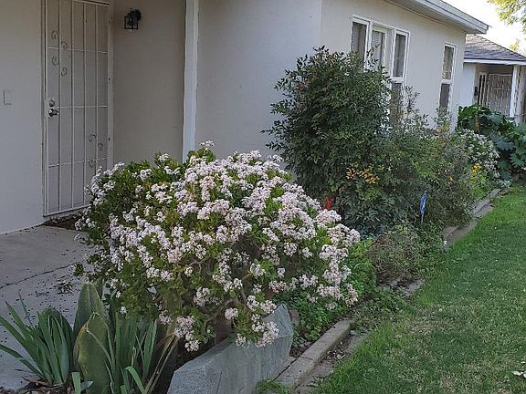 Entry view from driveway