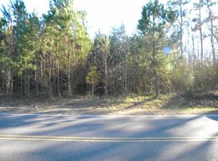 Wise Rd LOT B, Conway, SC 29526