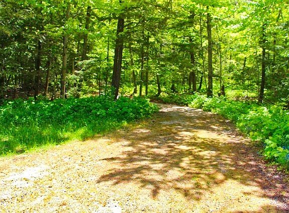 3rd image of A2 Wilderness Shore Ln