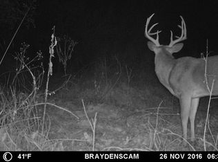 Tbd Marshfield Rd, Bruner, MO 65620