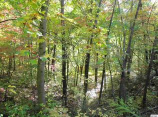 Maggie Mack Ln, Sevierville, TN 37862