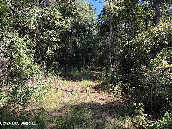 3rd image of Rayford Shumock Rd