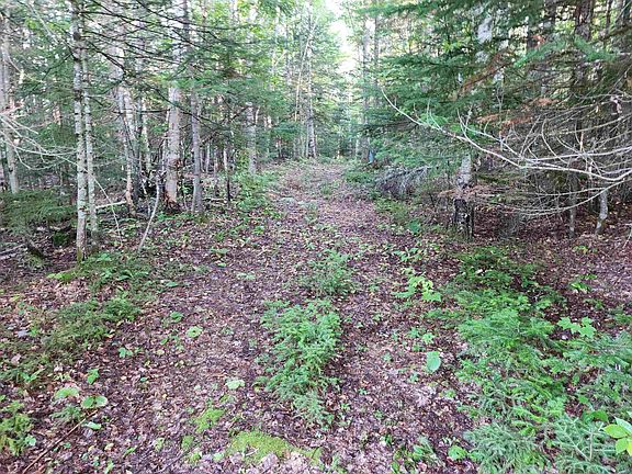3rd image of 0000 Hampshire Woods Loop #R013-0007-0033