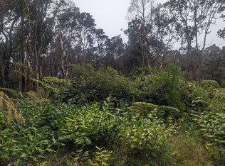 11-3885 2nd St LOT 213, Volcano, HI 96785