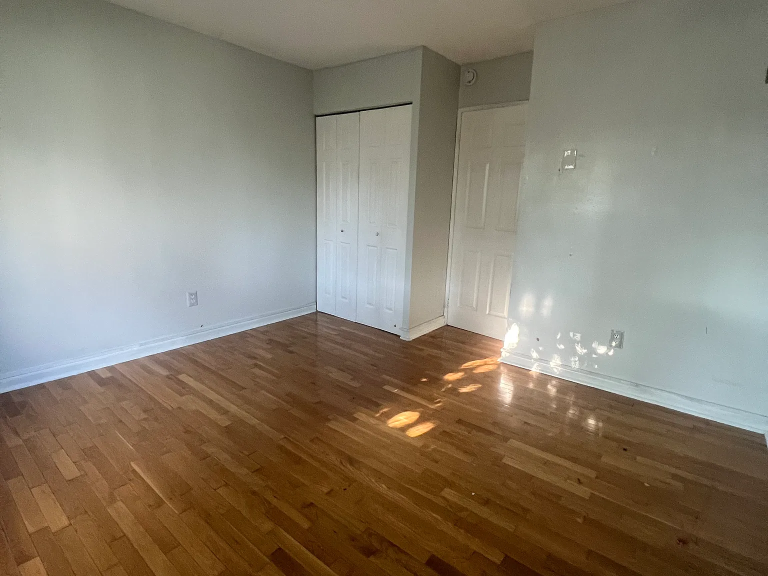 1 bed, 800 sqft, $1,600 — Photo 2