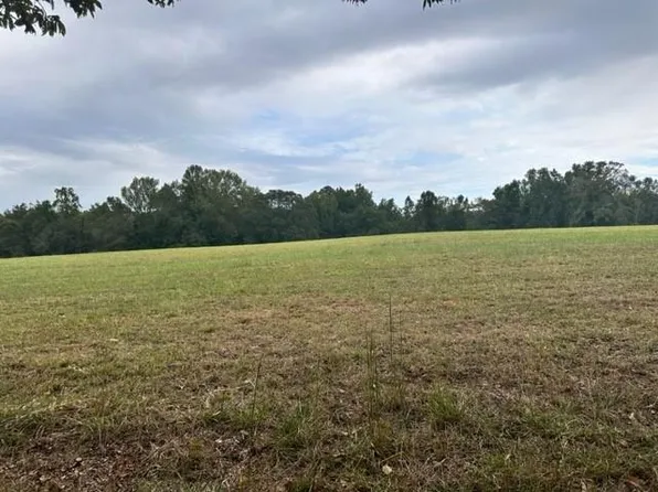 1470 Lee Peters Rd #4, Loganville, GA 30052